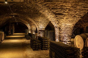  Wine cellar in the Patriarche winery, Beaune, Côte-d&#39;Or, Bourgogne-Franche-Comté, France, Europe 