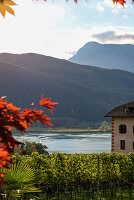 Blick auf Kalterer See im Herbst, Südtiorl, Italien