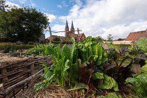  Jerichow Monastery, it is considered the oldest brick building in Northern Germany, in front of it monastery garden, Jerichow, Saxony-Anhalt, Germany 