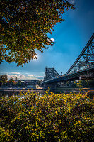Herbstliche Szene mit Brücke das Blaue Wunder über der Elbe, umrahmt von Bäumen, Dresden, Sachsen, Deutschland