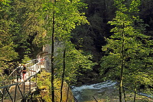 Der Fluss Obere Argen fließt durch das Naturschutzgebiet Eistobel, Es befindet sich bei Maierhöfen, Allgäu, Schwaben, Bayern, Deutschland