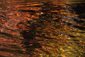 Der Fluss Obere Argen fließt durch das Naturschutzgebiet Eistobel, Es befindet sich bei Maierhöfen, Allgäu, Schwaben, Bayern, Deutschland