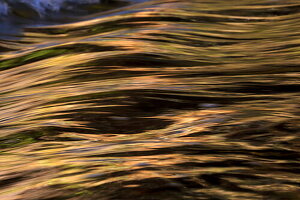 Der Fluss Obere Argen fließt durch das Naturschutzgebiet Eistobel, Es befindet sich bei Maierhöfen, Allgäu, Schwaben, Bayern, Deutschland