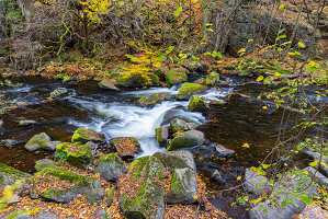 Bode, Bachlauf, Naturschutzgebiet Bodetal, Sachsen-Anhalt, Deutschland