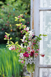 Fensterdekoration Bilder – Garten-Fotos kaufen ❘ Gartenbildagentur  Friedrich Strauss