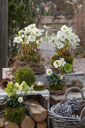 Terrassendekoration Bilder – Garten-Fotos kaufen ❘ Gartenbildagentur Friedrich Strauss