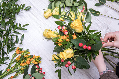 Floristik Bilder – Garten-Fotos kaufen ❘ Gartenbildagentur
