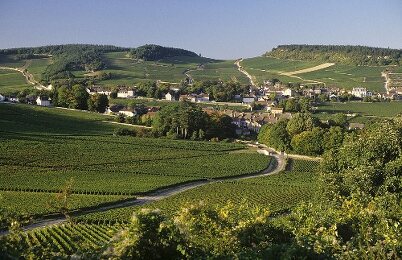 Montagny-lès-Buxy - Tourism, Holidays & Weekends