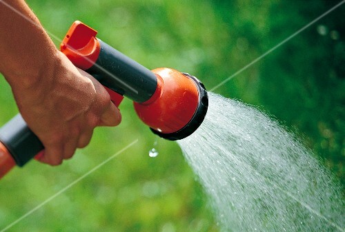 Weekend Gartner Rasen Bewassern Garten Sprengen Buy Images