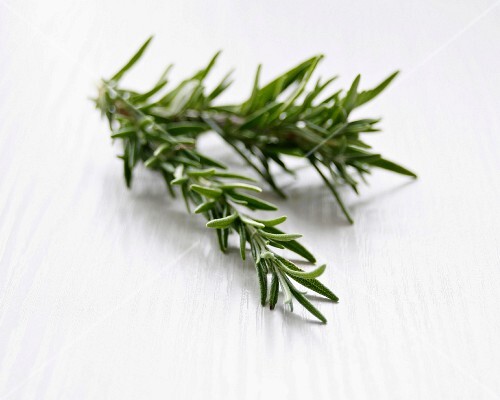 A sprig of rosemary – License Images – StockFood – 11165604