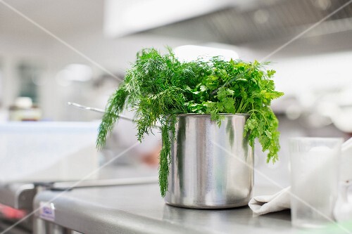 Frische Kräuter in einem Edelstahltopf … – Bilder kaufen ... Frische Kräuter in einem Edelstahltopf … – Bilder kaufen ...