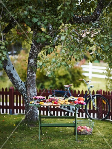 Herbstbuffet Auf Holztisch Im Garten Bilder Kaufen 11986270