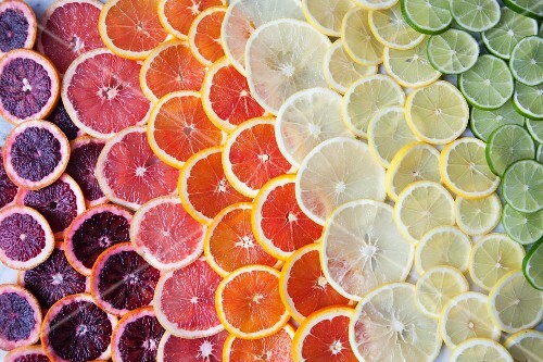 Brightly coloured citrus fruit slices in rows