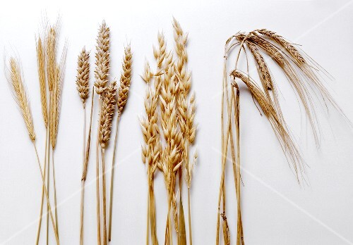 Gesunde Ernährung im Alltag: Tipps für mehr Wohlbefinden Gesunde Ernährung im Alltag: Tipps für mehr Wohlbefinden